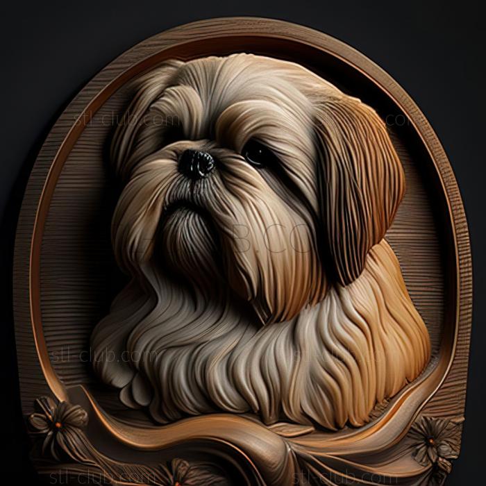 st Shih Tzu dog